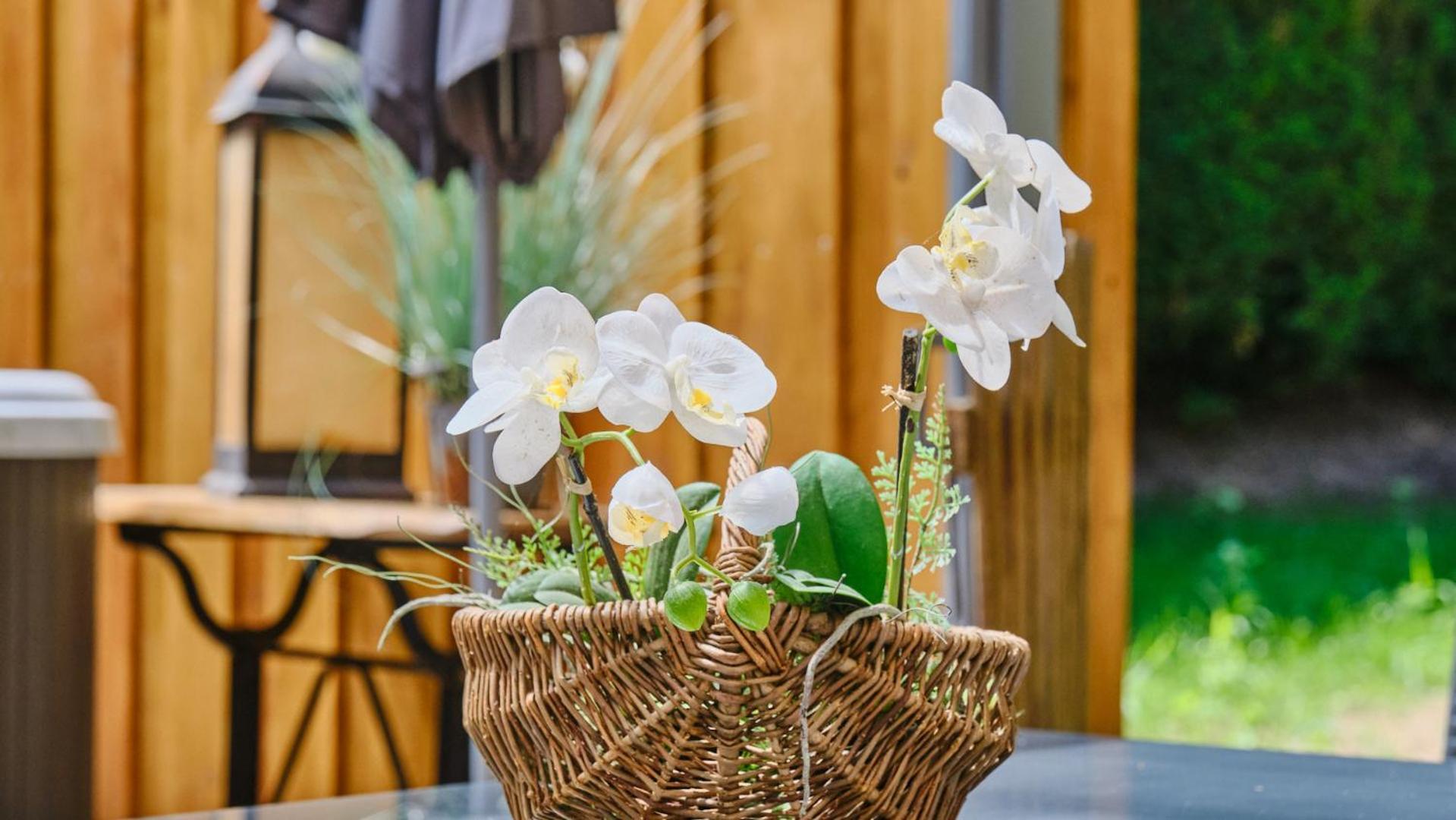 Ferienhaus Escale Cocooning *